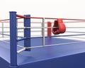 Boxing gloves hanging on ropes of ring. Royalty Free Stock Photo