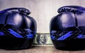 Boxing gloves holding the dollar banknote on wooden floor