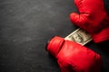 Boxing Gloves holds the dollar banknote.