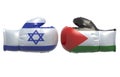 Boxing gloves with Israel and Palestine flag