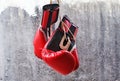 Boxing gloves Royalty Free Stock Photo