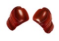 Boxing gloves