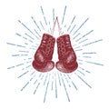 Boxing gloves