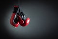 Boxing Gloves Royalty Free Stock Photo