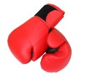 Boxing gloves