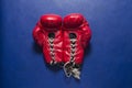 Boxing gloves series Royalty Free Stock Photo