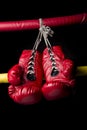Boxing gloves series Royalty Free Stock Photo