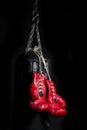 Boxing gloves series Royalty Free Stock Photo