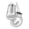 Boxing gloves sketch engraving vector illustration