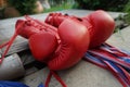 Boxing Gloves Royalty Free Stock Photo