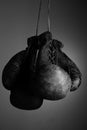 Boxing gloves