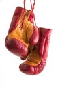 Boxing gloves in white background Royalty Free Stock Photo