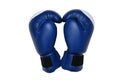 Boxing gloves on a white background.Mitt Royalty Free Stock Photo