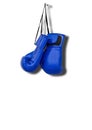 Boxing Gloves on White Isolated Background Royalty Free Stock Photo