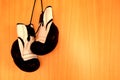 Boxing Gloves Royalty Free Stock Photo