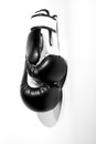Boxing glowes Royalty Free Stock Photo