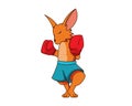 Boxing Kangaroo Character with Ready Stance Illustration