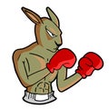 Boxing kangaroo illustration