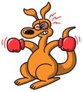 Boxing Kangaroo Royalty Free Stock Photo