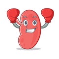 Boxing kidney character cartoon style