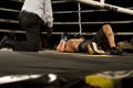 Boxing Knock Out Royalty Free Stock Photo