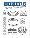 Boxing labels and icons set. Vector