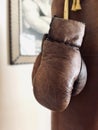 Boxing leather gloves in brown hanging on a punching bag are a close-up. Royalty Free Stock Photo