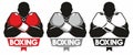 Boxing logo Royalty Free Stock Photo