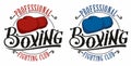 Boxing logo Royalty Free Stock Photo