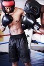 Boxing, man and sparring partner in ring together with headgear, gloves and fitness, power training, challenge. Strong Royalty Free Stock Photo