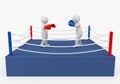 Boxing match