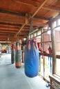 Boxing sand bags hanging at a sports gym