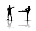 Boxing Silhouette