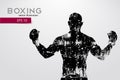 Boxing silhouette. Boxing. Vector illustration