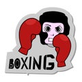 Boxing sparing