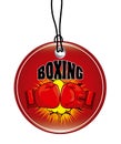 Boxing sport Royalty Free Stock Photo