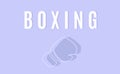 Boxing vector banner