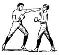 Boxing vintage illustration