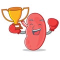 Boxing winner kidney mascot cartoon style