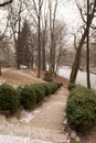 Boxwood bushes along the steps in the park