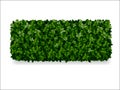 Boxwood decorative fence