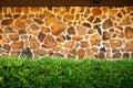 Box wood hedge in front of stone wall background Royalty Free Stock Photo