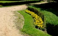 Bright threshing gravel road with a border of granite cubes, flowerbeds with orange yellow flowers cut by boxwood, lawn