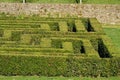 Boxwood labyrinth maze garden