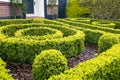 Boxwood labyrinth, trimmed bushes at the entrance to an English house.