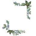 Green boxwood leaf. Leaf plant botanical garden floral foliage. Frame border ornament square.