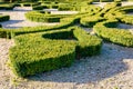 Boxwood pruned in the shape of a fleur-de-lis in a french formal garden