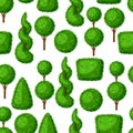 Boxwood topiary garden plants. Seamless pattern with decorative trees