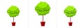 Boxwood tree in flowerpot icon set.