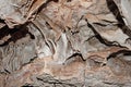 Boxwork Details in a Cave